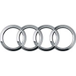 Audi (15)